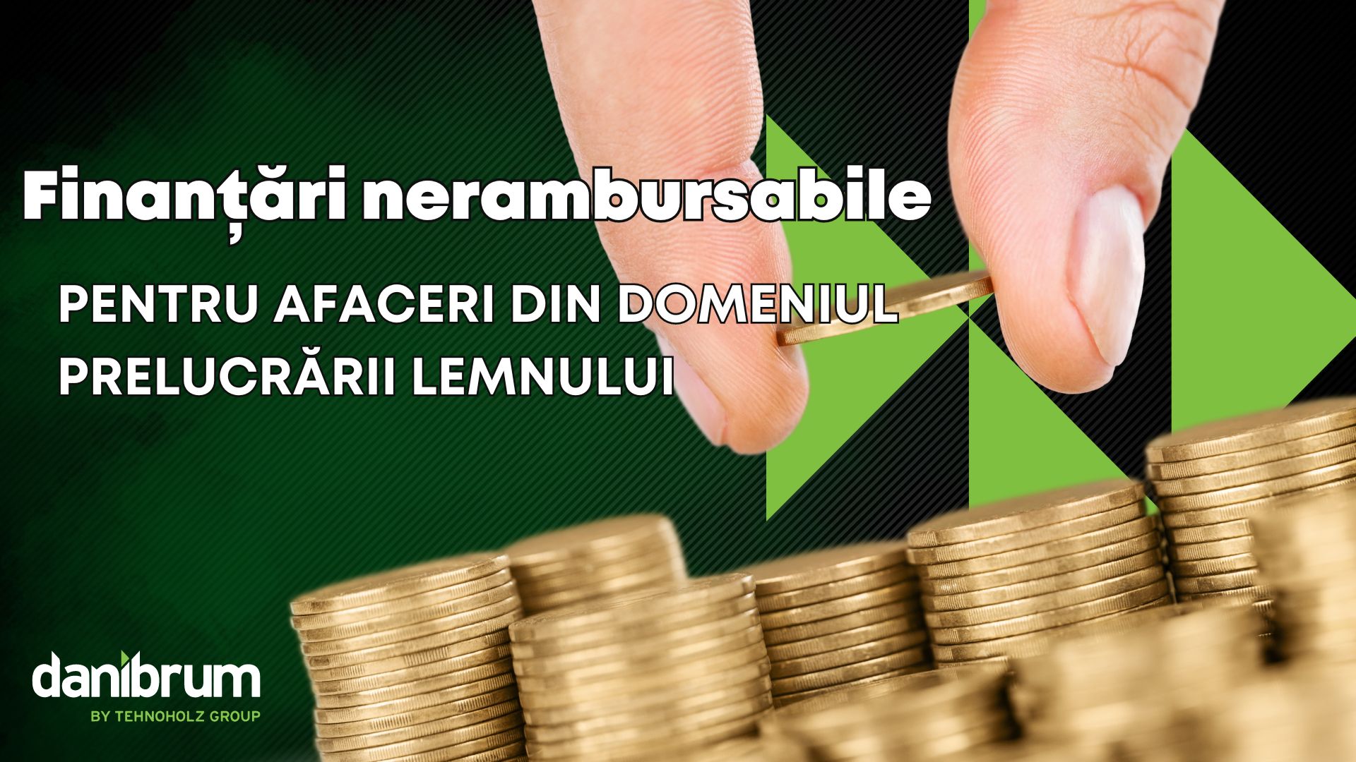fonduri ateliere tamplarie